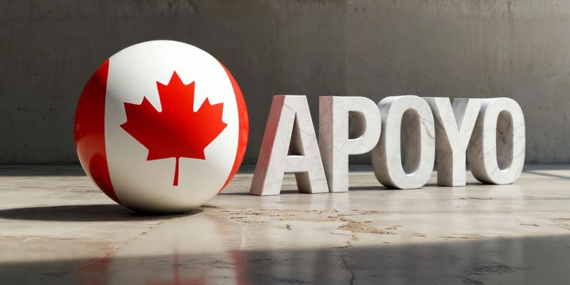 Impulsa tu Startup: Descubre las Mejores Subvenciones y Programas Gubernamentales en Canadá